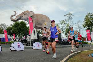 BIB: 
                            <button type="button" onclick="openModal(26528808)" class="btn btn-primary btn-sm float-right btn-popup" data-toggle="modal" data-target=".modal-high-quality">
                        <i class="fas fa-shopping-cart"></i> Add to Cart
                    </button>
                                            <button type="button" onclick="isThisMe(26528808, true)" class="btn btn-success btn-sm float-right btn-popup btn-isme hidden" data-toggle="tooltip" data-placement="bottom" title="นี่คือรูปของคุณใช่ไหม คลิกที่นี่เพื่อเอาเข้าอัลบั้ม">
                        <i class="fas fa-plus"></i> Add to album
                    </button>
                    <button type="button" onclick="isThisMe(26528808, false)" class="btn btn-warning btn-sm float-right btn-popup btn-isnotme hidden">
                        <i class="fas fa-ban"></i> Remove from album
                    </button>